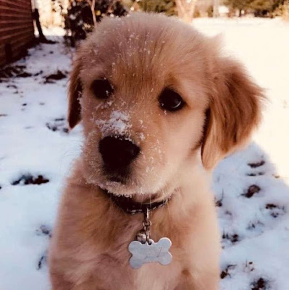 Meet your Posher, Vivi